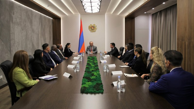 Встреча Армена Григоряна с делегацией Save Armenia в Ереване