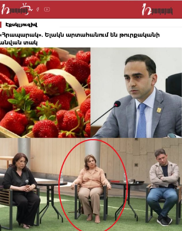 Клубника на поле в Араратской долине, Армения